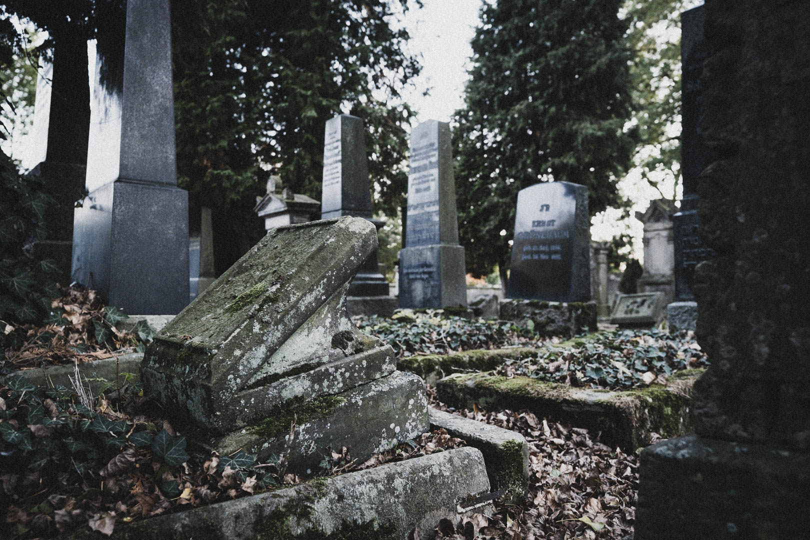 Paderborn, Jüdischer Friedhof